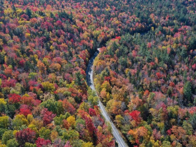 千畳敷カール紅葉2023の見頃はいつからいつまで？平日の混雑状況と待ち時間も紹介！