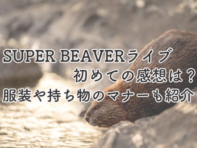 SUPER BEAVERライブ初めての感想は？服装や持ち物のマナーも紹介