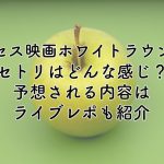 ミセス映画ホワイトラウンジのセトリは？予想される内容やライブレポも紹介