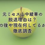 元ミセス山中綾華の脱退理由は？その後や現在何してるかも徹底調査！